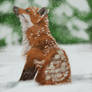 Fox In Snow