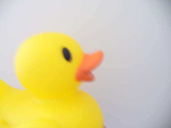 RUBBER DUCK