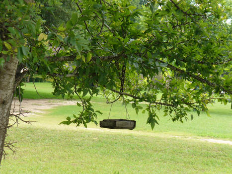 a bird feeder