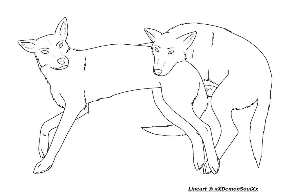 Two lying Wolves or Dogs