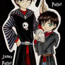 _DH SPOILER_ Albus and James