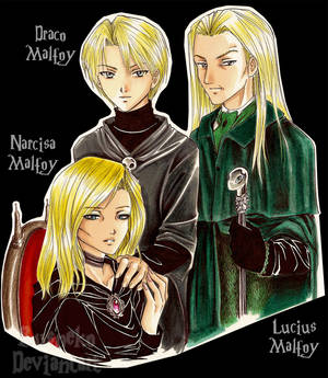 DH_Malfoy Family_