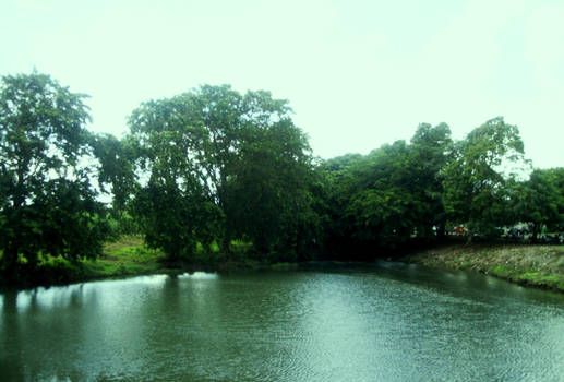 Nearby Flacq Market