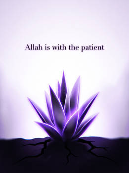 Patience: Allah's Promise of Aid