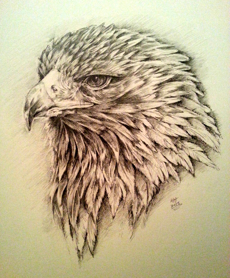 Golden Eyed Eagle