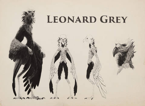 Leonard Grey