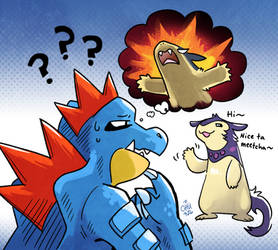 Feraligatr meets Hisuian Typhlosion