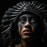 Spirit of the Lakota