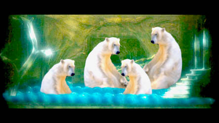 Peacefull Bears