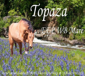 Finished Horse Avatar - Topaza - MM