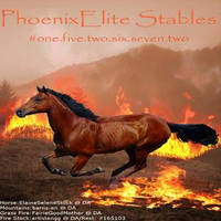 Finished Stable Avatar - PhoenixElite Stables