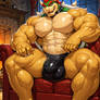 Bowser (NSFW x5)