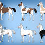 OPEN Stallion Adopts