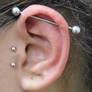 Industrial Y Tragus Surface