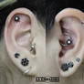 Daith and scapha piercing with black gems flowers
