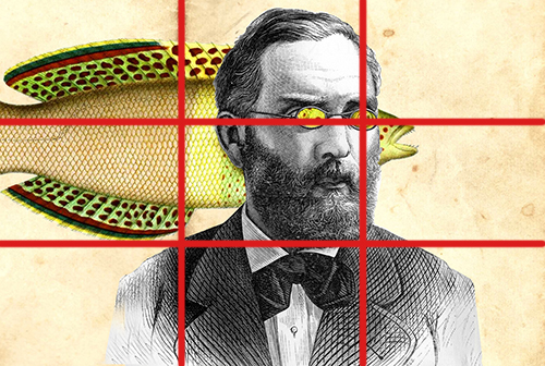 Freud Grid