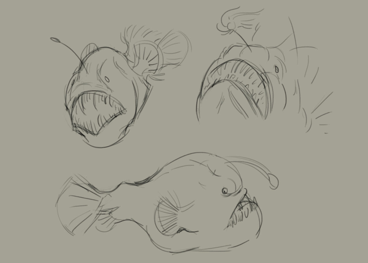How To Draw A Fish Front View