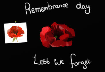 poppy~remembrance day