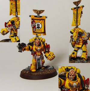 Imperial Fist Veteran Sergeant