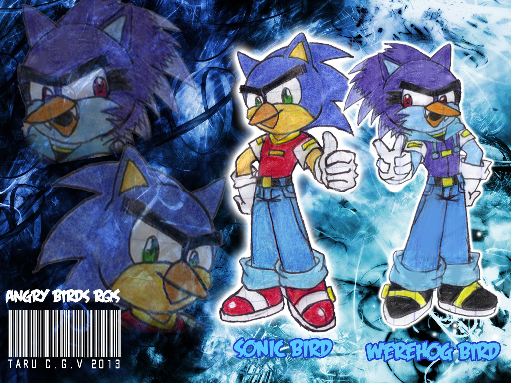 RQ: Sonic Bird and Werehog Bird (Angry Birds OC'S)