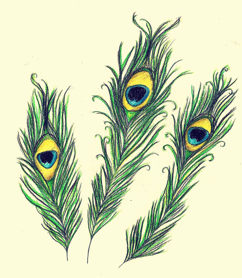 Перо жар птицы Перо жар птицы