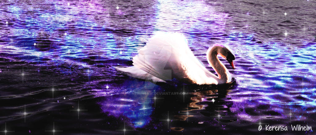 THE MAGIC OF SWANS