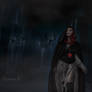 WANDERER