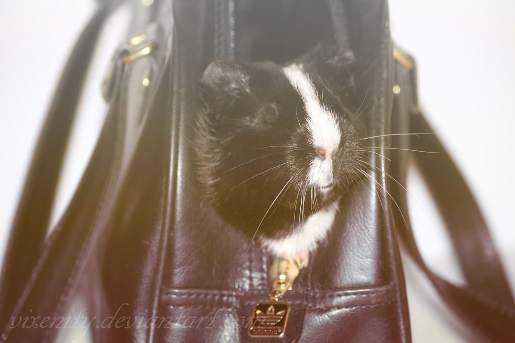 My little bag bug  ~ Yuki