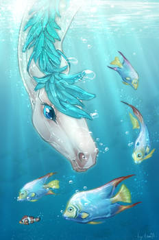 wow, look at these fish!