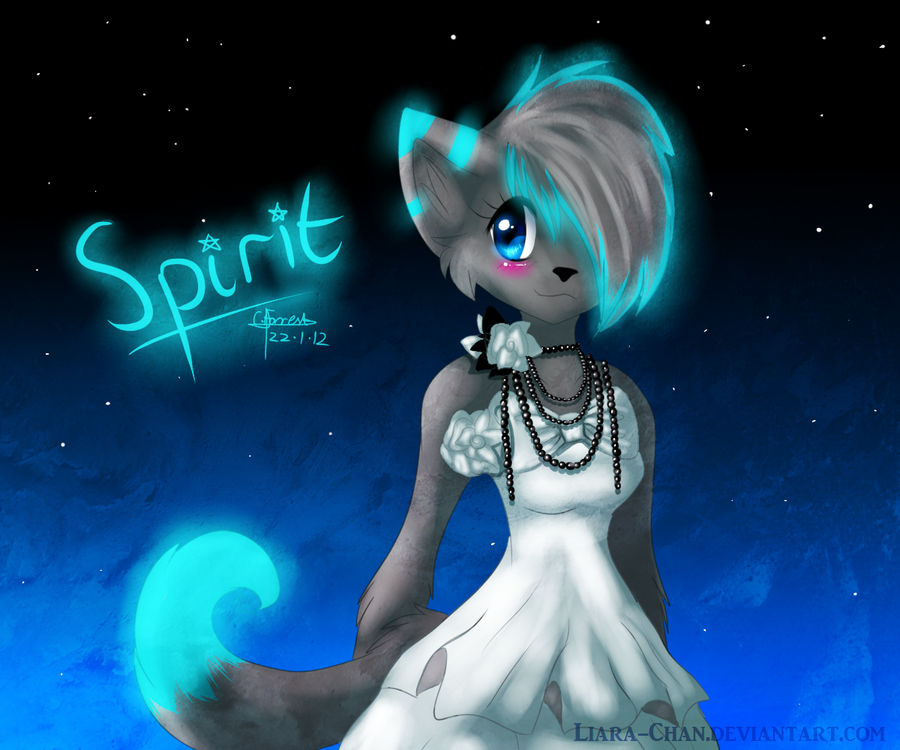 :.200th watch.: Spirit