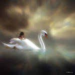 The swan and the child