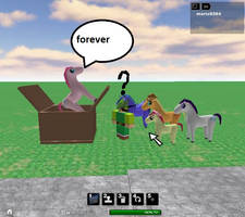 MLP meets roblox