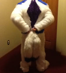 Jazz fursuit back