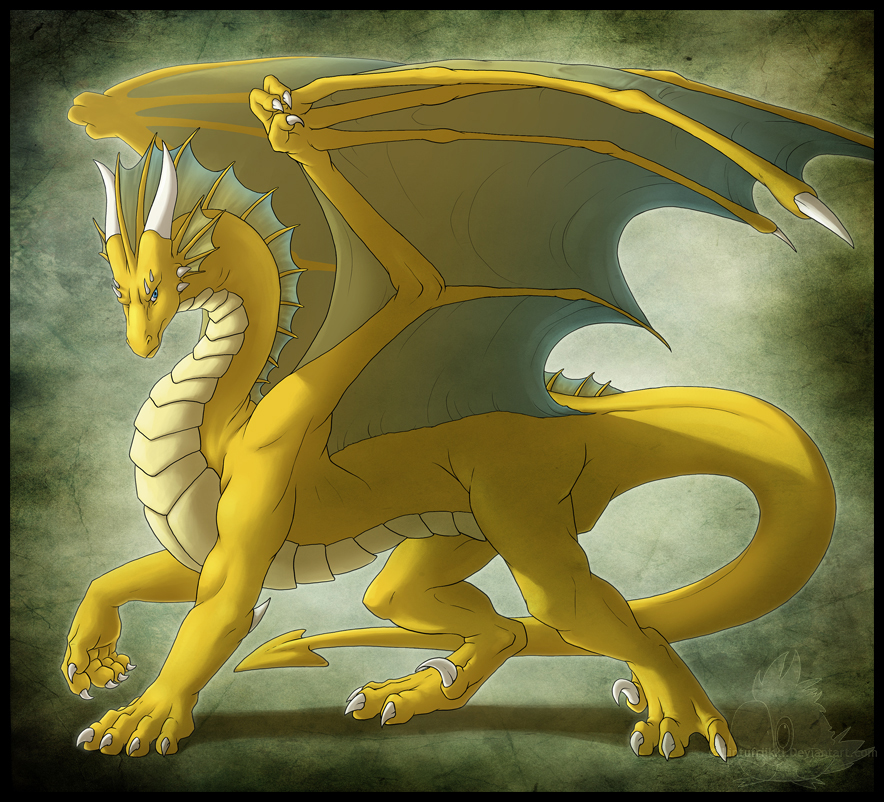 Дракон фут. Ферал дракон. Shadowlordinc. Mortelix Dragon form. Dragontaur girl.