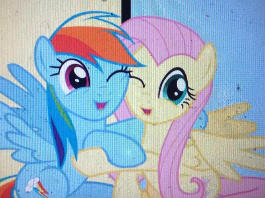 Futterdash flutterdash by thebabypokemon on DeviantArt