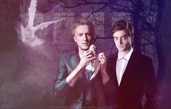 Draco and the pigeon
