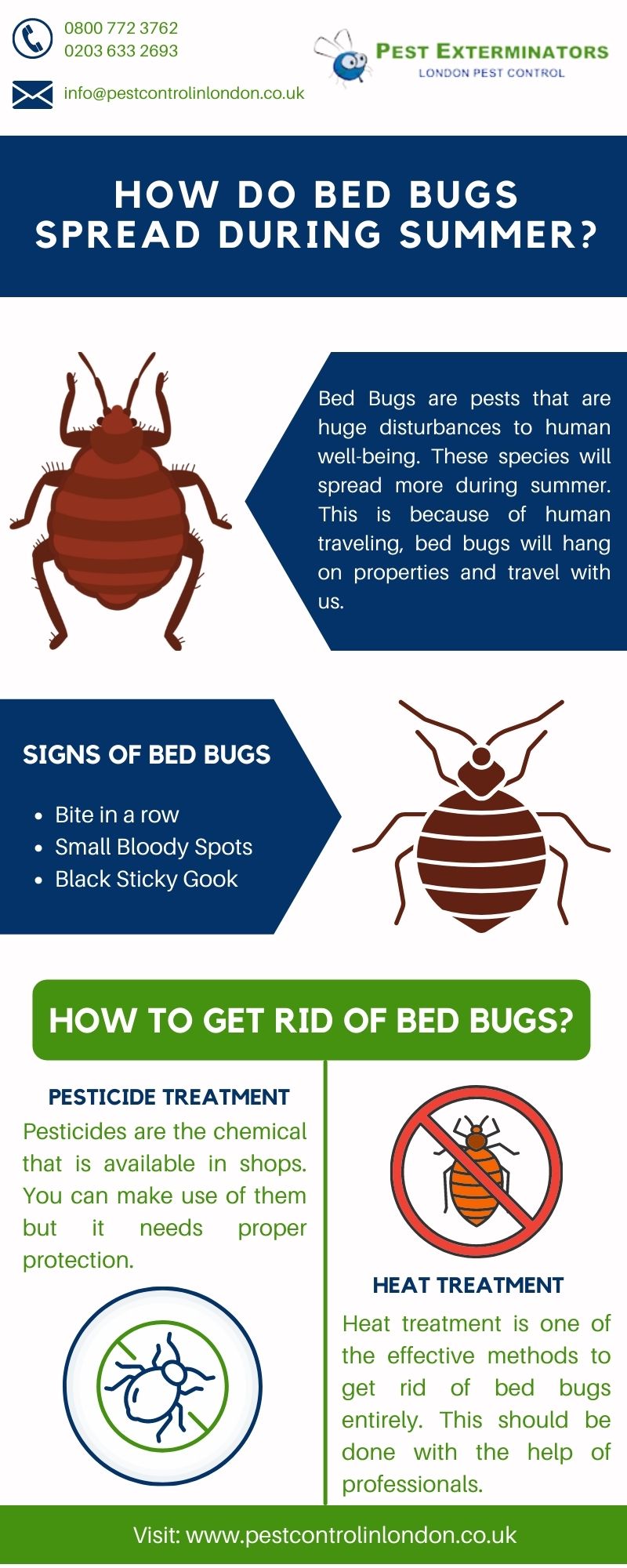 detadtu 54b7ae8b e42e 4bb5 8586 How Easy is It for Bed Bugs to Spread?