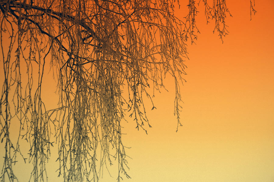 Gradient by RobinHedberg on DeviantArt