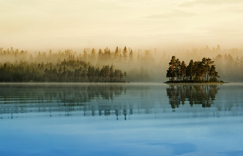 Misty Lake