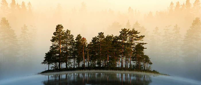 Misty Lake II