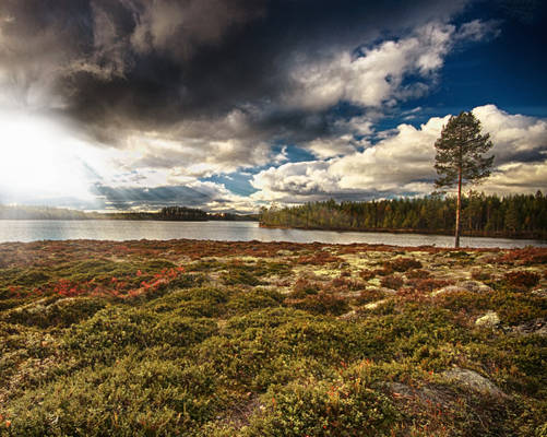 Regnsjon Lake