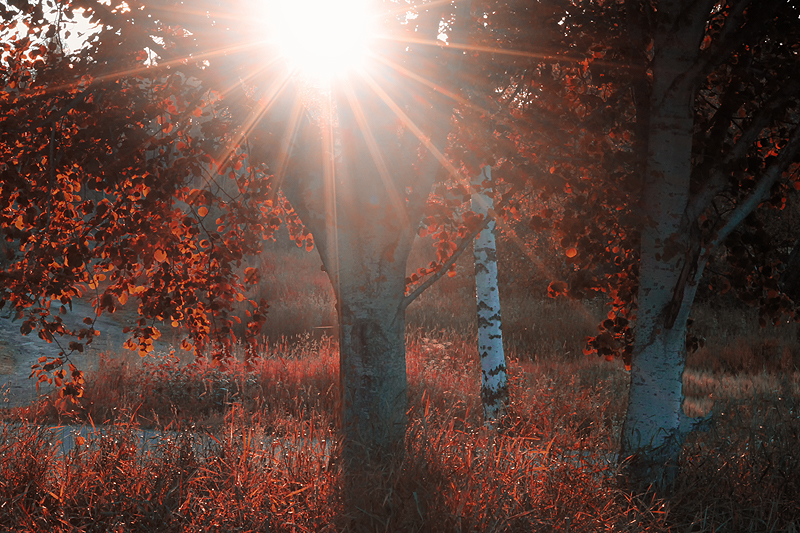 Sharp rays