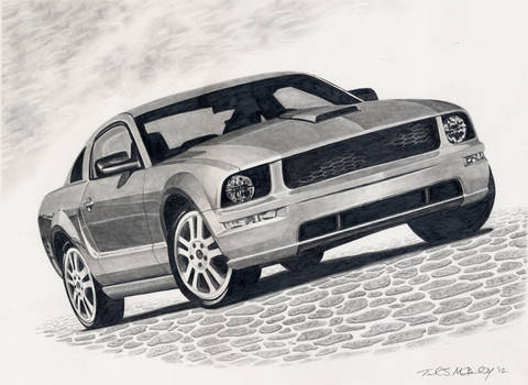 mustang 12