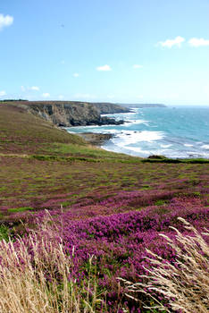 COLORS OF FRENCH WEST COAST II