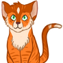 Redesign Cat