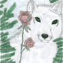 Wolfeh And Roses