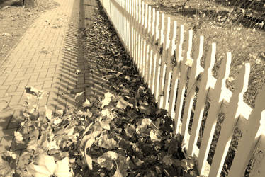 picket fence