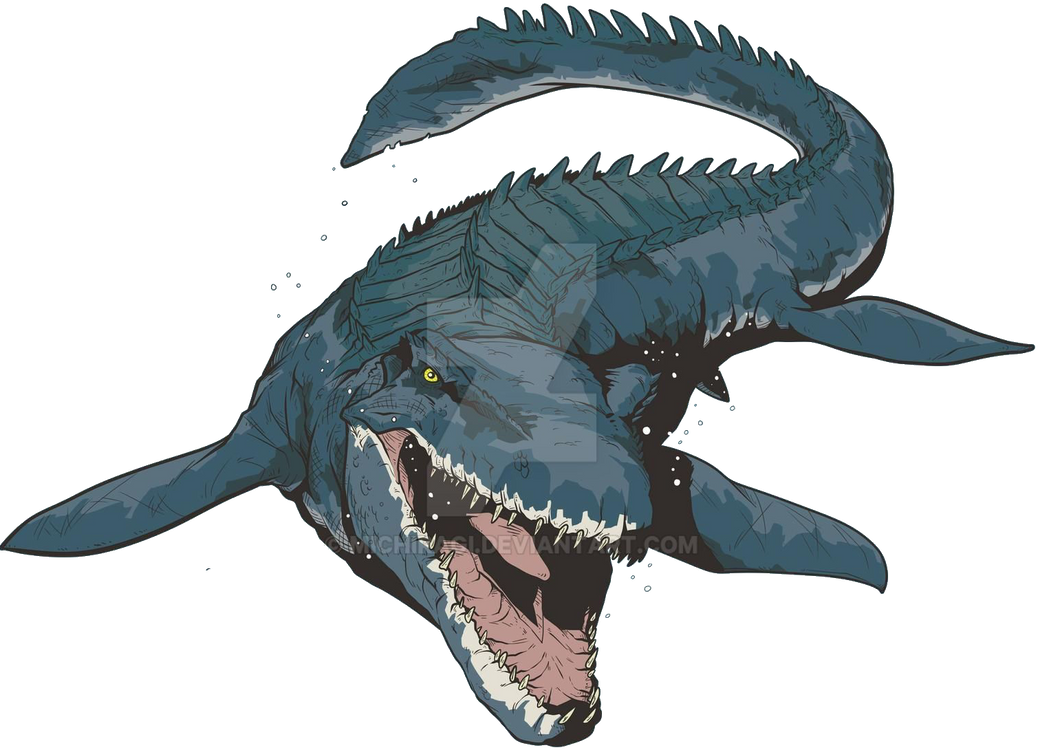 Transparent Mosaurus Mosasaurus Transparent by MainMonsterMan on DeviantArt