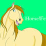 Horse!Fem!America~