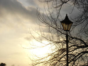 lamp post